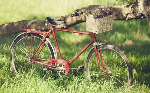 揭秘網絡世界的悲傷符號:非主流20組網名,讓你的情感瞬間觸動人心! 揭秘網絡世界的悲傷符號:非主流20組網名,讓你的情感瞬間觸動人心!